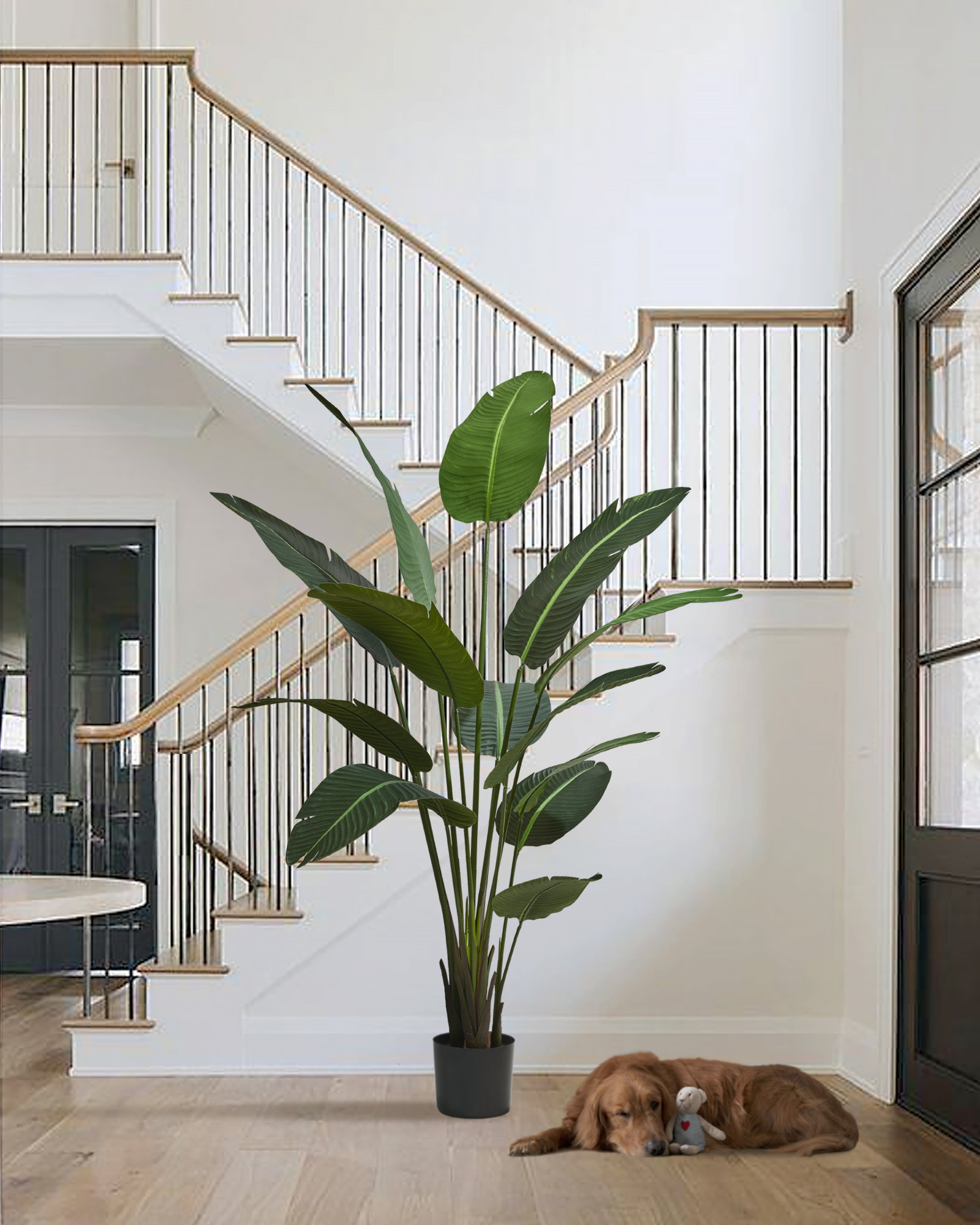 Faux Banana Tree buy